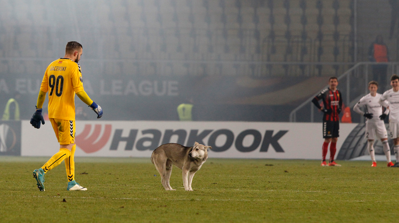 Photo credit: Boris Grdanoski/AP